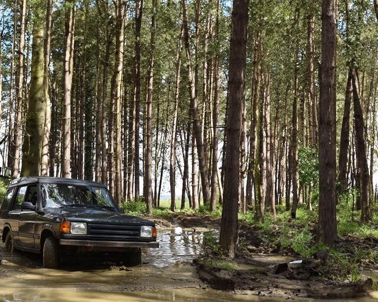a landrover on a woodland course on an off road driving experience