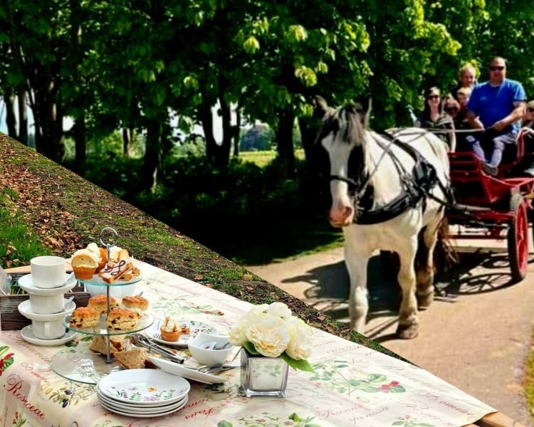 a split photo showing an afternoon tea laid out on a table and a horse and carriage travelling down a country track in the sunshine