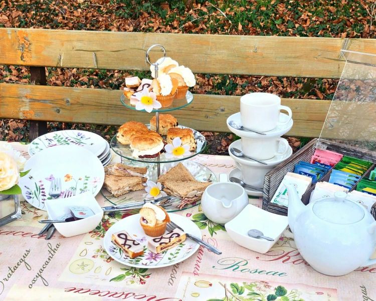 a cream tea set out on on a wooden table outside with crockery and cakes on a cake stand as pat of a horse and carriage ride experience