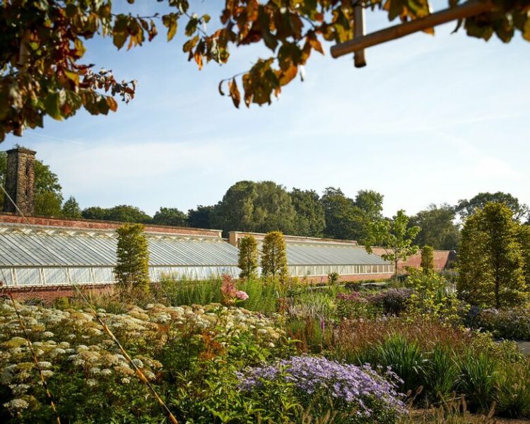 the walled kitchen gardens and greenhouses at rhs bridgewater near manchester