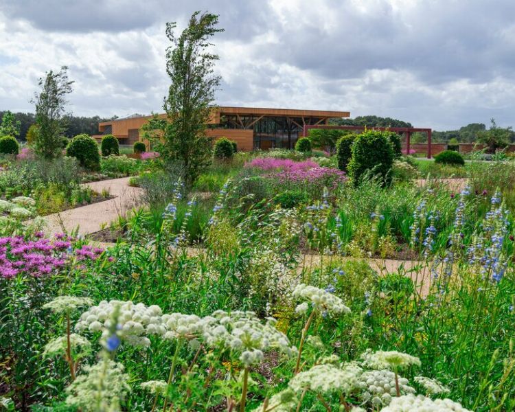 the welcome gardens at rhs bridgewater near manchester in full bloom