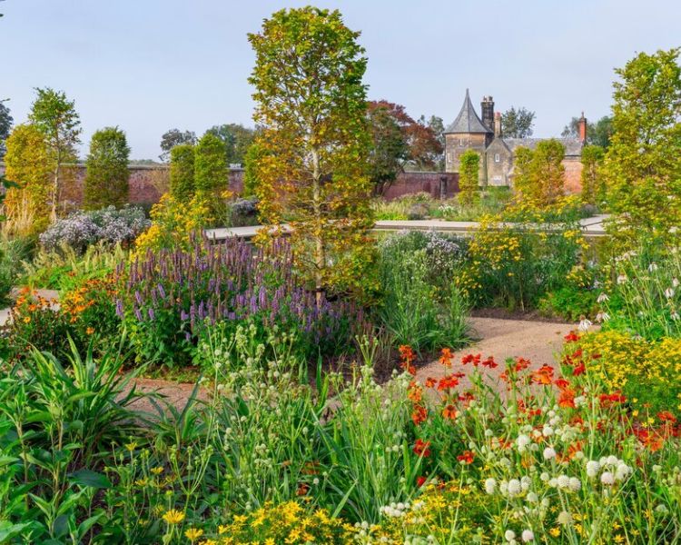 the gardens at rhs bridgewater near manchester on a glorious summers day