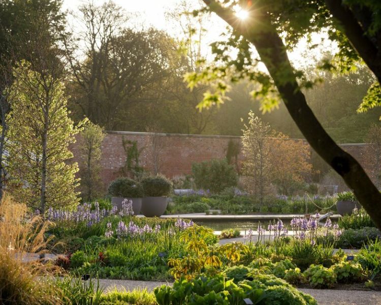 the kitchen gardens at rhs bridgewater near manchester