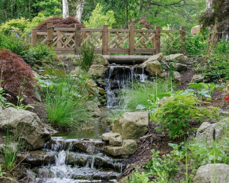 a stream flowing through the gardens at rhs bridgewater near manchester