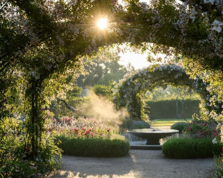 the gardens at rhs wisley in full bloom on a summers day