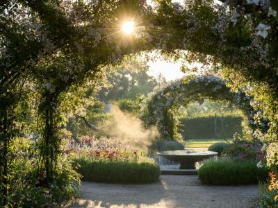 the gardens at rhs wisley in full bloom on a summers day