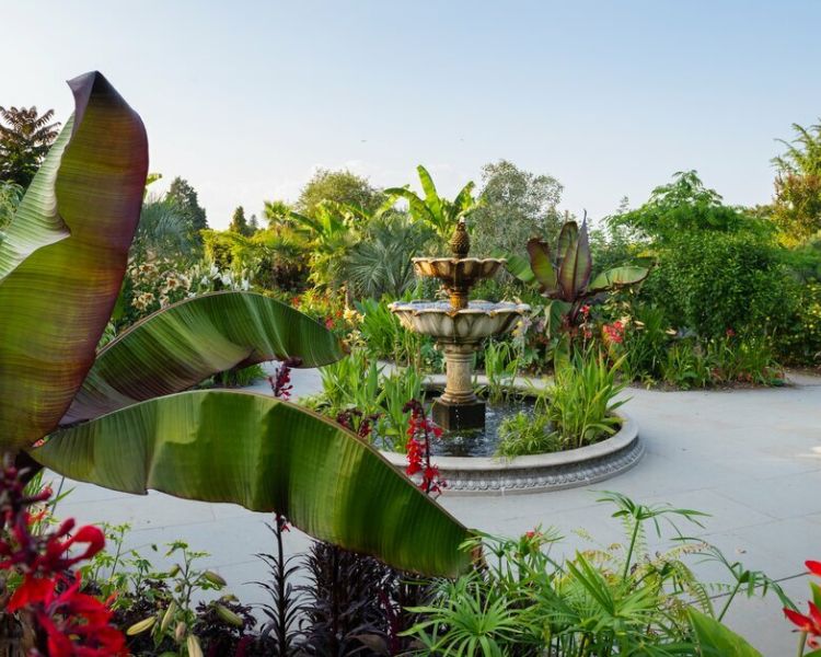 a view of the exotic garden at rhs wisley with palms and a water fountain