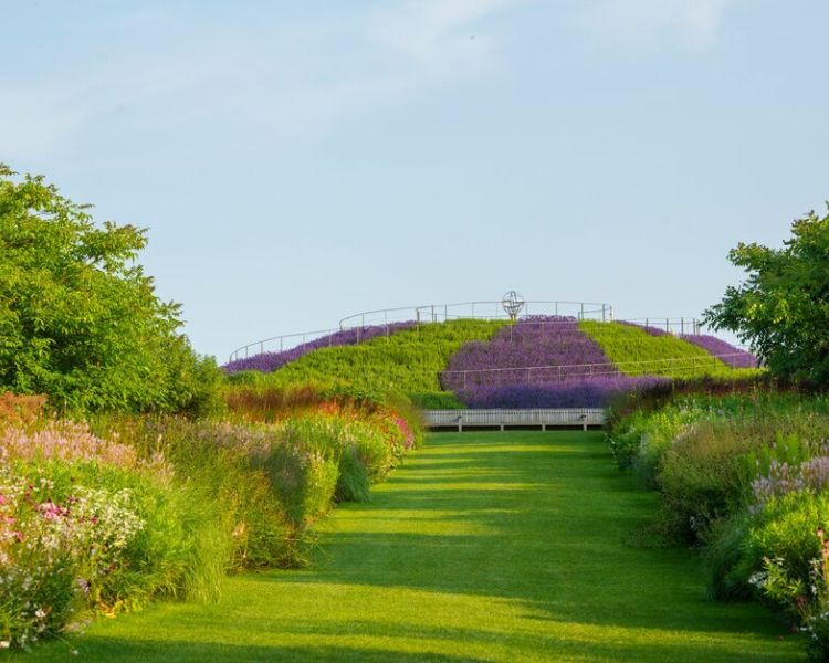a view of the gardens at rhs wisley with flowers in full bloom on a sunny day