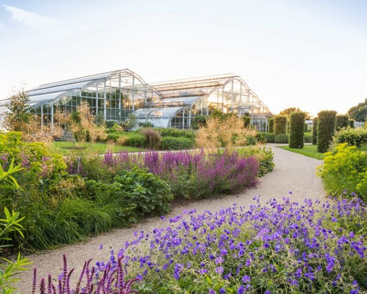 a view of the glasshouse at rhs wisley