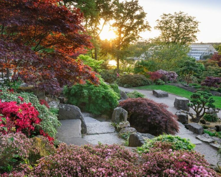the rock gardens at rhs wisley