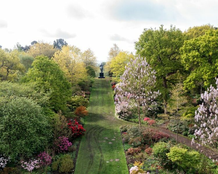 view of the gardens at rhs wisley in spring with magnolia in bloom