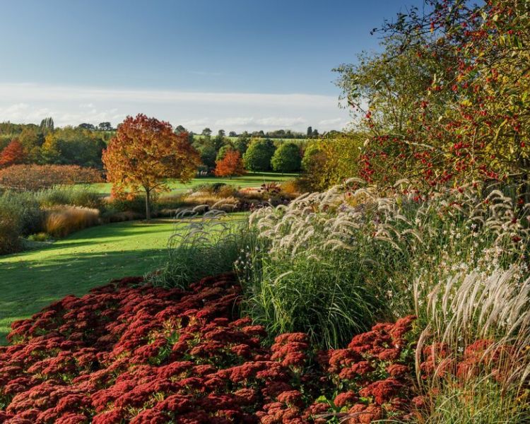 the gardens at rhs hyde hall in essex