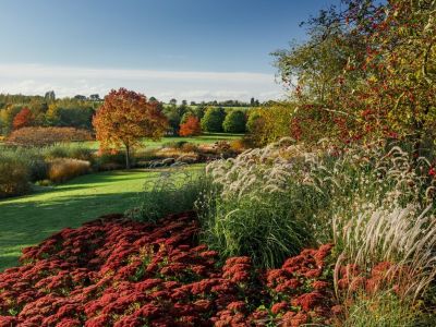 the gardens at rhs hyde hall in essex