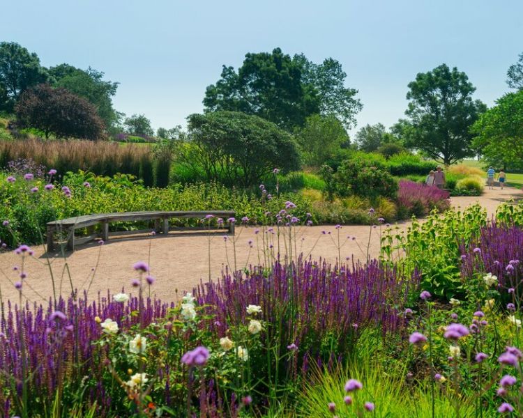 a view of the courtyard gardens with stone path at rhs hyde hall in essex