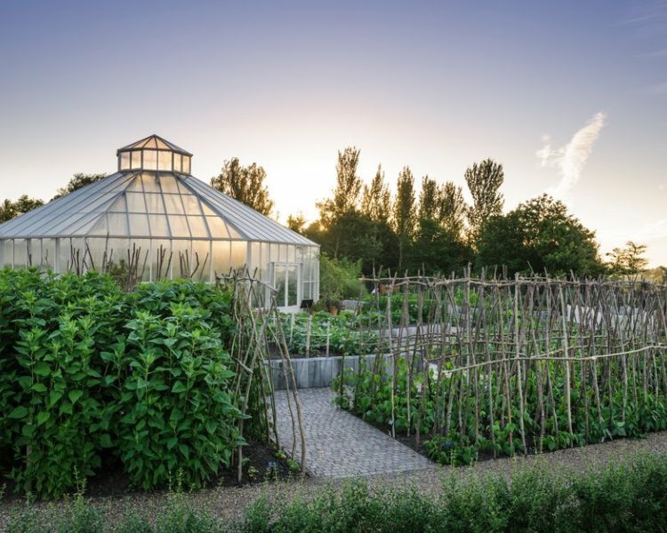 a view the the globla growth vegetable garden with its round glasshouse at rhs hyde hall in essex