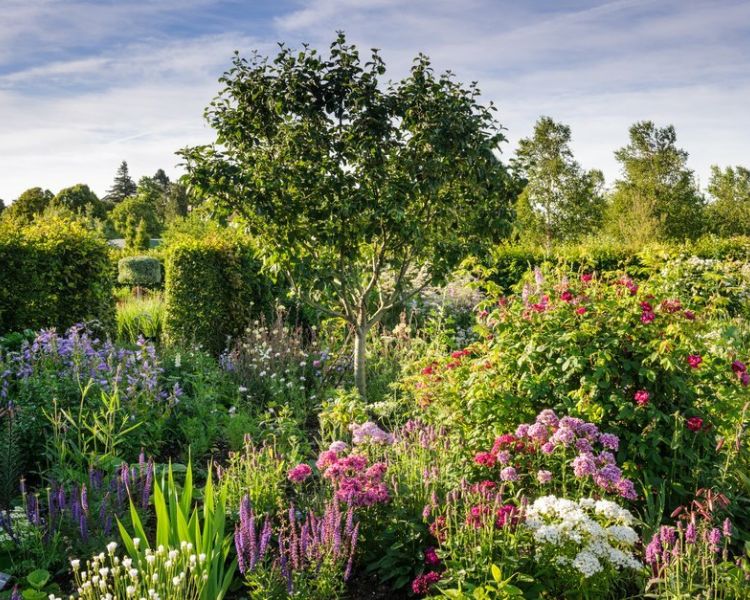 a colourful display of one of the borders at rhs hyde hall in essex