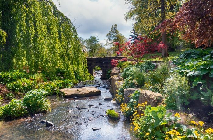 the streamside garden at rhs garden harlow carr in north yorkshire