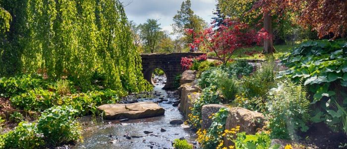 the streamside garden at rhs garden harlow carr in north yorkshire