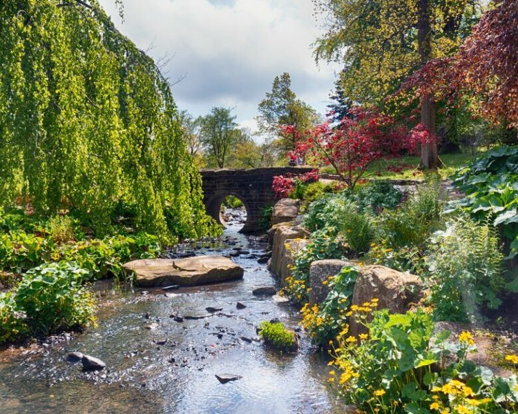 the streamside garden at rhs garden harlow carr in north yorkshire