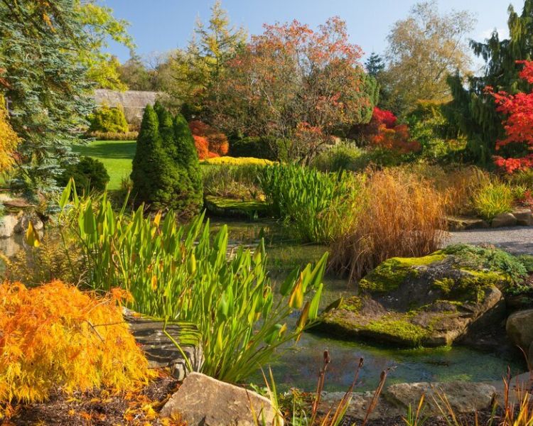 a pond surrounded by rocks and planting at rhs garden harlow carr in north yorkshire