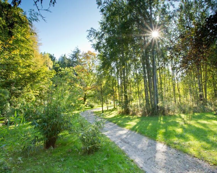 the arboretum at rhs garden harlow carr in north yorkshire