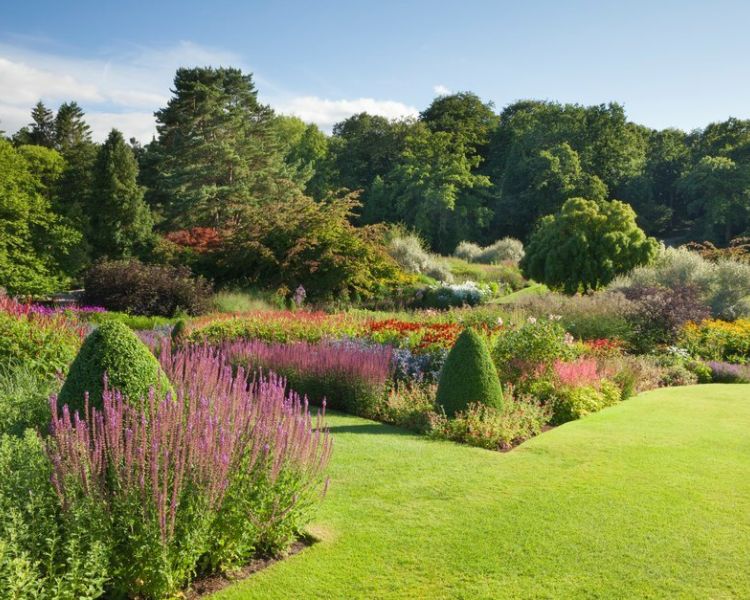 the main borders at rhs harlow carr in north yorkshire showing the grass pathways and topiary