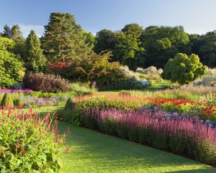the main borders at rhs harlow carr in full bloom on a summers day