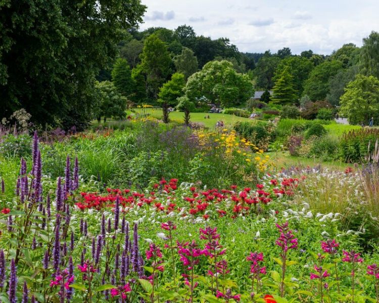 a view of the lush borders and green lawns at rhs garden harlow carr in north yorkshire