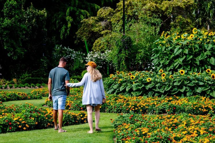 Botanical garden