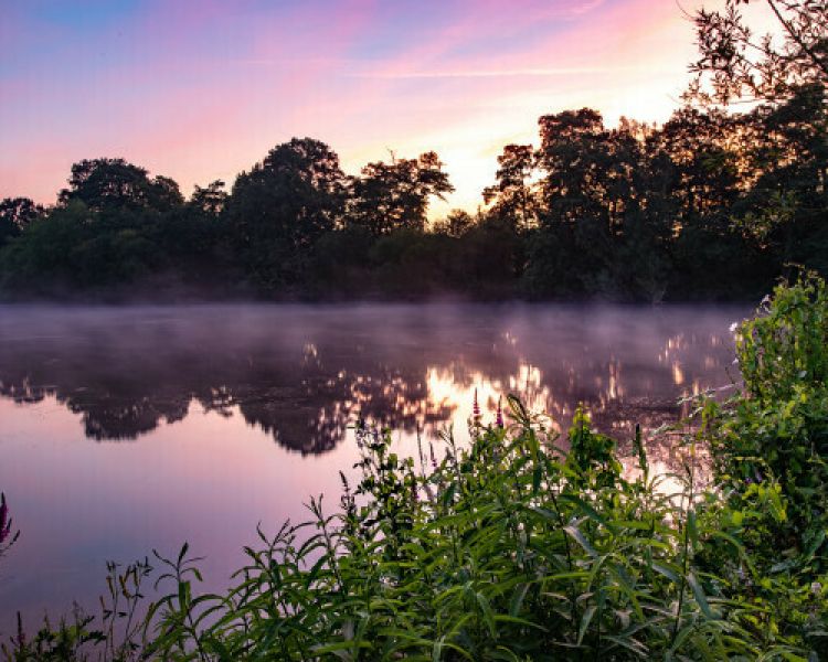 mist rising off the top of a lake at sunrise surrounded by trees