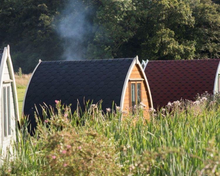 Glamping pods