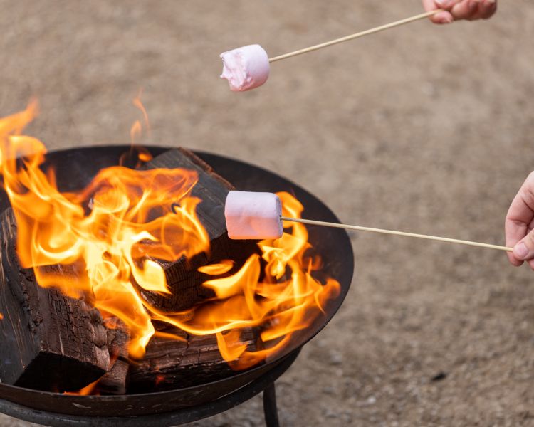 Toasting marshmallows on a campfire