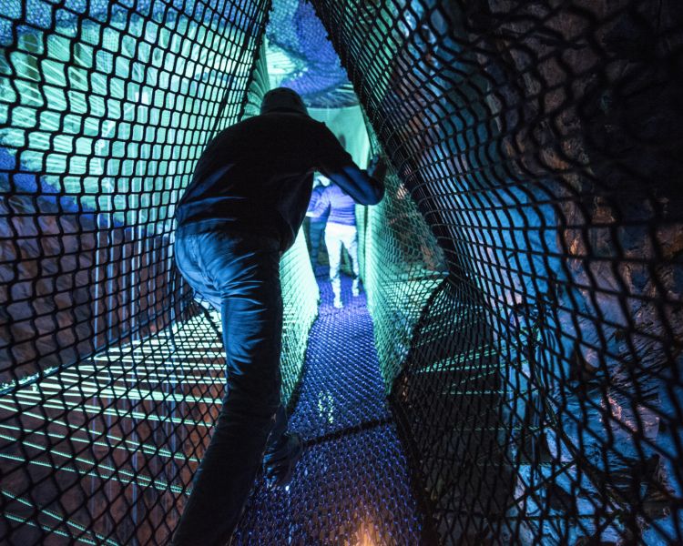 person going through a net tunnel at zip world bounce below