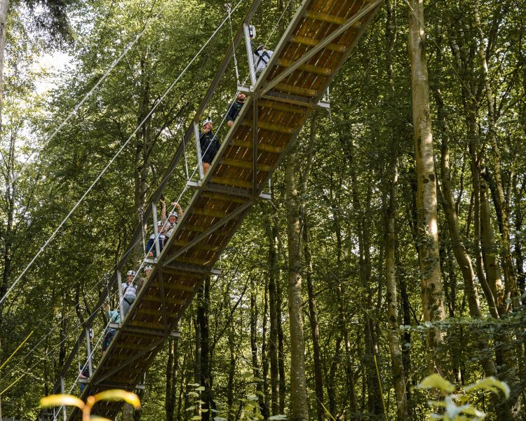 the bridge walkway leading to the top of zip world plummet