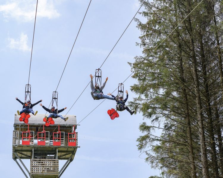 four people going down the zip lines at zip world phoenix