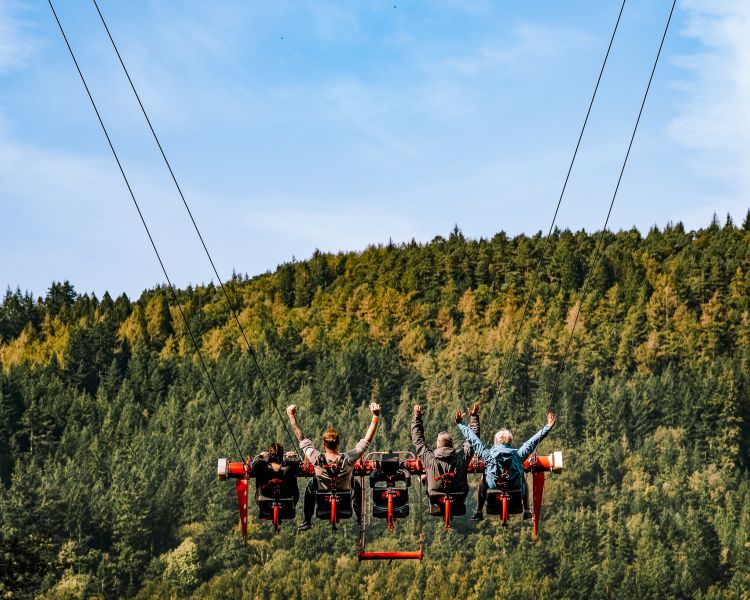 people on the zip world skyride in wales with a view of the woodland