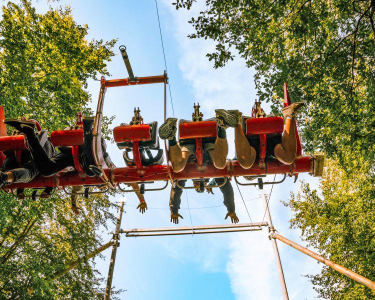 view looking up at people on the zip world skyride in wales