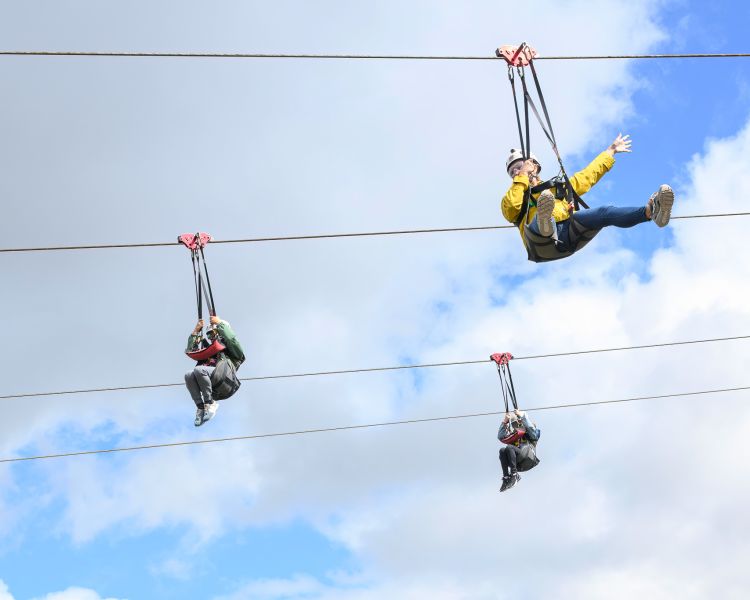 view of people going down the zip lines at zip world titan in wales