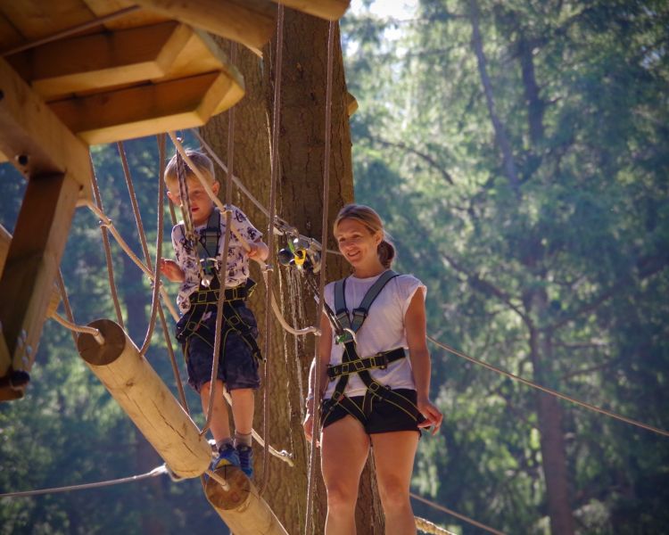 young boy on the zip world tree hoppers course in the trees