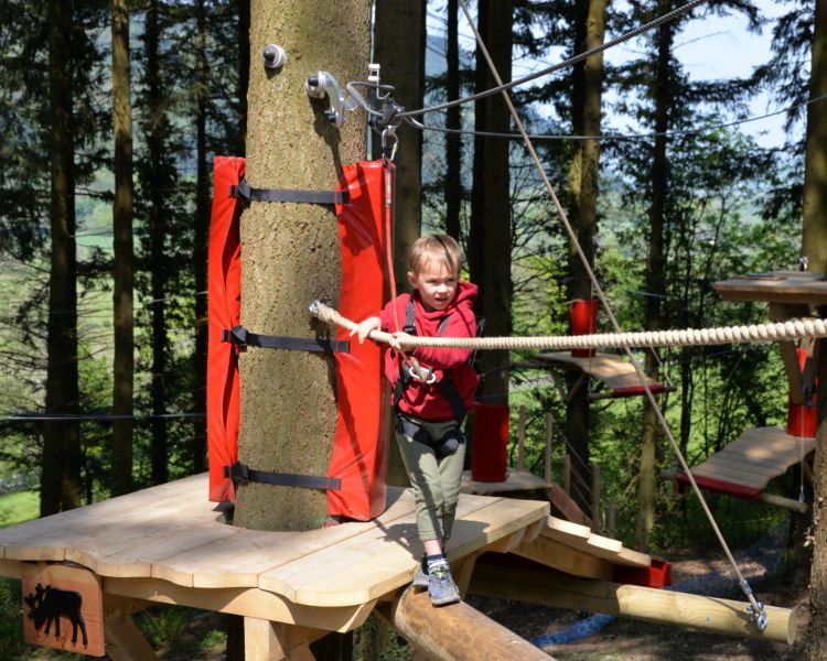 young boy on the zip world tree hoppers course in the trees