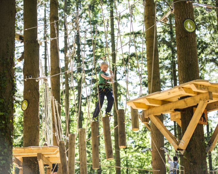 young boy on the zip world tree hoppers course in the trees