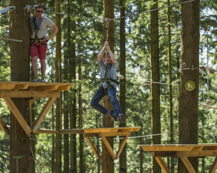 person on the zip world tree hoppers course in the trees