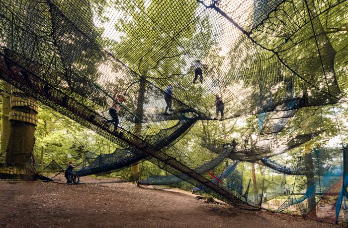 a view looking up at the zip world treetop nets