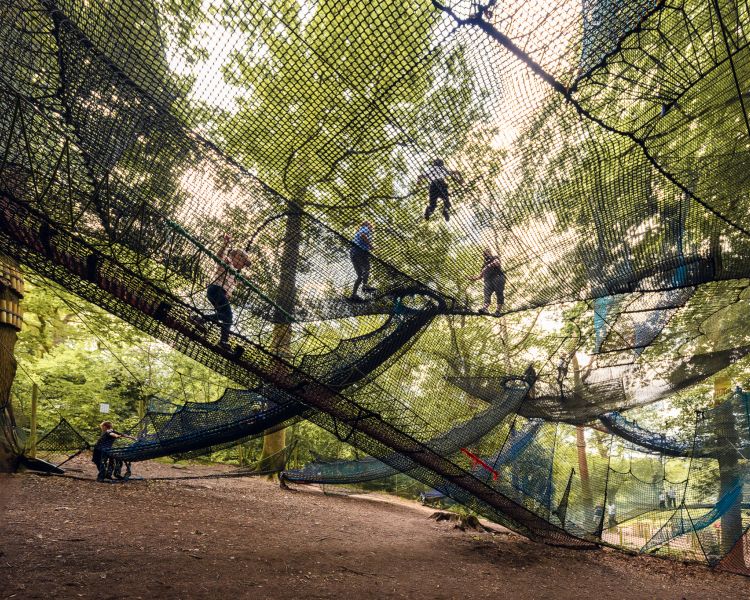 a view looking up at the zip world treetop nets