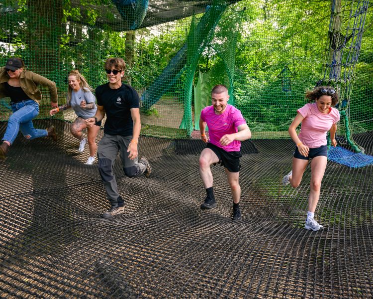 people running on the nets at zip world treetop nets