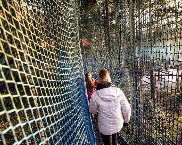 people walking through the nets at zip world treetop nets