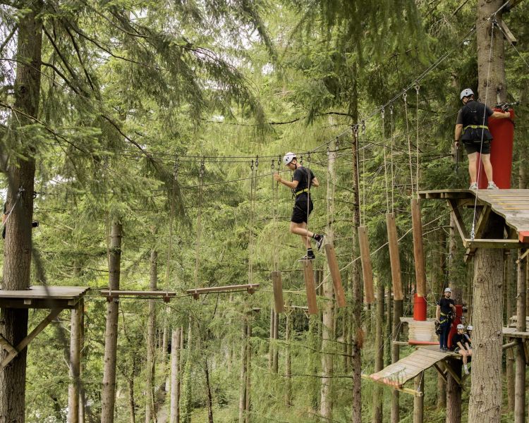 people making their way along the course at zip world zip safari