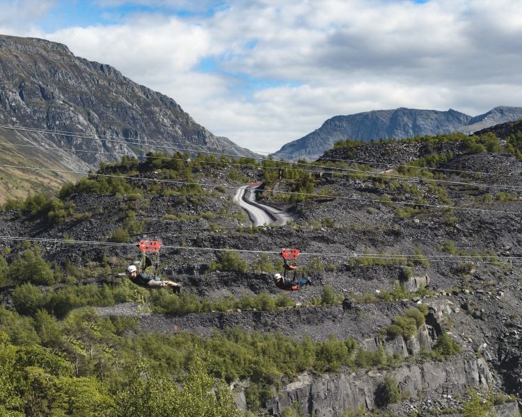 people on the zip lines at zip world velocity in wales with mountains in the background