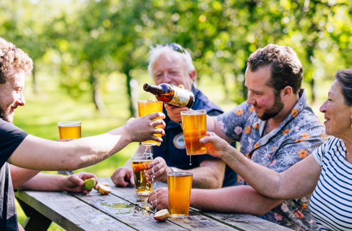 Dorset Nectar cider experience