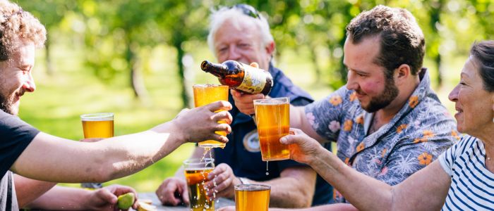 Dorset Nectar cider experience